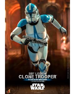 Star Wars Sideshow Hot Toys 12" Boxed 501st Legion Clone Trooper (TMS092)