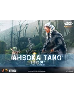 Sideshow Star Wars Hot Toys 12" Boxed Ahsoka Tano & Grogu (DX21)