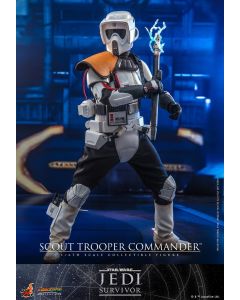 Star Wars Sideshow Hot Toys 12" Boxed Scout Trooper Commander (VGM53)